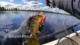 Fly Fishing: 4wt. Chronicles, EP 3 - 
