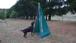 Von Forell Levi Long Bark in blind - Ball Reward System