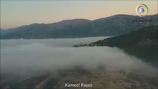 القلب والتربية الإيمانية