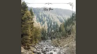 Dry flow N&deg; 1