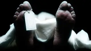 Why Are Doctors &ldquo;Supporting&rdquo; Chinese Organ Trade? | China Uncensored