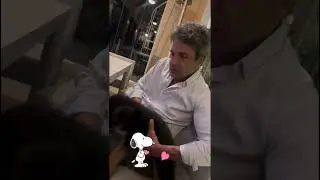 🐕💖MARCELO de BELLIS #mascotas #marcelodebellis #viralvideo #shorts