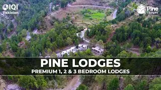 1, 2 & 3 Bedroom Premium Chalets | Pine Lodges