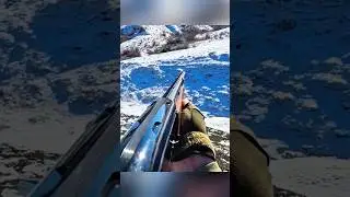 Заяц на прицеле &mdash; идеальный выстрел#ОхотаНаЗайца #Охота #Заяц #RabbitHunting #Охотник