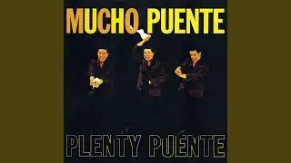 Flamenco Mood