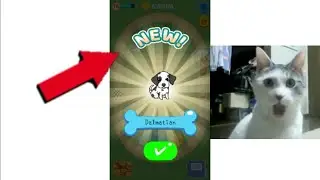 MERGE DOGS  NEW DOG DALMATIAN #8