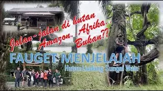 Trail Jogging Forest di Hutan Lindung Sungai Wain KM15 Borneo
