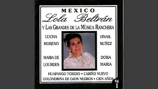 Golondrina de Ojos Negros