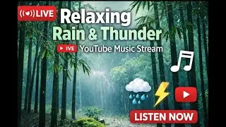 🔴 LIVE 🌧️ Deep Sleep with Relaxing Rain & Gentle Thunder ⚡ | Calm Music for Stress Relief