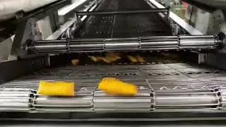 Spring Roll Frying Machine