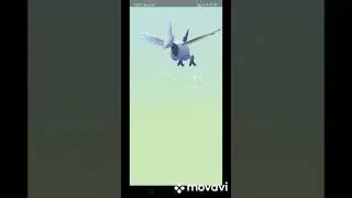 What will Hatch from 5KM Egg in Pokemon Go?
