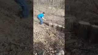 splitting maul vs axe (witch ones best )