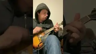 playing different mandolin chord shapes