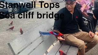 Stanwell tops and sea cliff bridge এ ঘুরে এলাম॥ Sydney Australia video 52