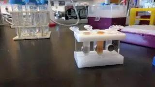 Cell lysate preparation for purification using magnetic beads