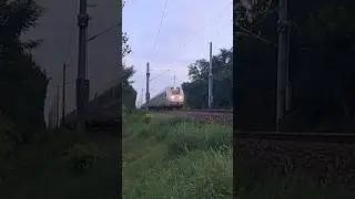 Durchfahrt von ICE4 inLichterfelde-S&uuml;d (August)2024