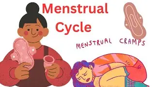 Menstrual Cycle NCLEX RN Bsc nursing GNM ANM new vacancy update Punjab RRB