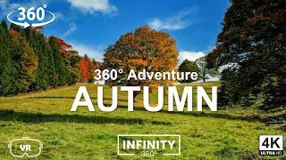 Autumn in Wales in 4K 360&deg; VR: Stunning Adventure