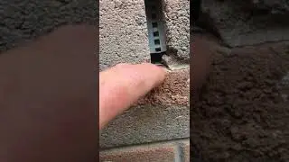 Mice Do Not Need Much Space To Squeeze In