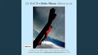 Mass in B Minor, BWV 232: Quoniam (bass)