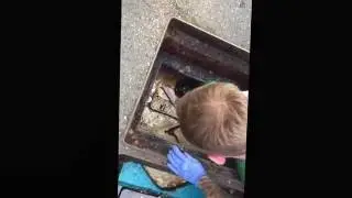 Grease Trap Maintenance - Delivering Wastewater Environmental Compliance