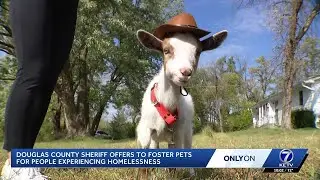 Douglas County sheriff offers to foster pets for individuals experiencing homelessness