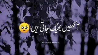 Ankhain Bheeg Jati Hain | Sad Shayari Status #shorts #moodoffstatus #owaisstudio