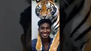 tiger tutorial filter now new filter