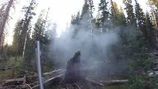 2023 Muzzleloader Elk Hunt! NW Colorado