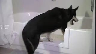 Easiest Way to Wash the Dog - Quick Tub&reg;