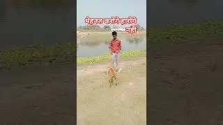 मेहनत करोगे हारोगे नहीं 🐕💯🙏 ||#dog #reels #speech #shorts #short video #video viral ☺️📸||