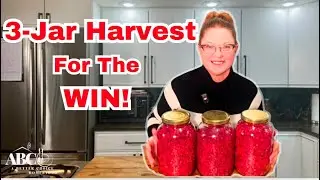 I Tried Freeze Drying a Giant Box of Beets and This Is What Happened!
