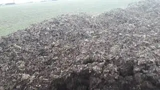 Obornik i pełno dżdżownic