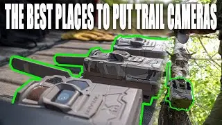 TRAIL CAMERA SECRETS (MY FAVORITE PLACES TO PUT CAMERAS!)