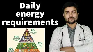 Daily calories intake? Daily energy requirement by our body by Dr Animesh MS