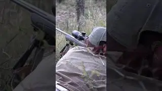 FREE RANGE WATERBUCK HUNT
