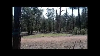 Backpacking on the Willow Springs Trail