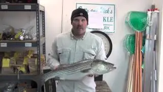 11 19 13 Paul Seyler 4 Bass to  12 Pounds