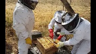 Beekeeping Courses by BeeQuipmentSA