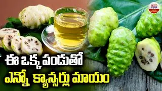 ఈ ఒక్క పండుతో ఎన్నో క్యాన్సర్లు మాయం | Benefits of Noni Fruit for Cancer | ABN Digital