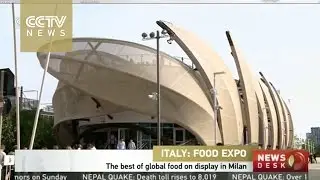 The best of the world&rsquo;s food on display in Milan Expo