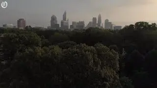 Charlotte sees loss of tree canopy in latest study