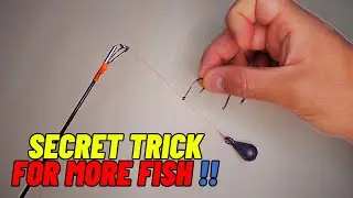 Fishing Rig Made Simple 🐟 Hook & Line Tips for More Catch