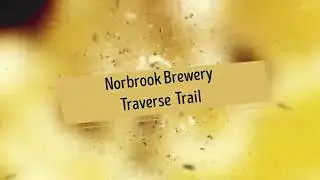 🍺Mountain biking at Norbrook Farm Brewery in Colebrook, CT. Traverse Trail. Fall 2019
