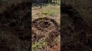 Crop Circle