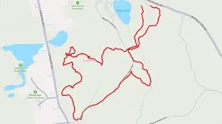 2025-06-14 Walk - Andover & North Reading, MA - Harold Parker State Forest