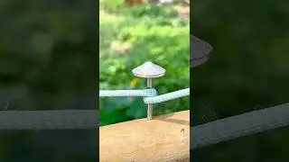 Wow! Smart idea. ❤️✅🙏#shorts #diy #outdoors #knotting #shortsfeed #knotskill #viral #trending