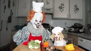 Pennywise & Dog Cook Dinner Together: Funny Dog Maymo