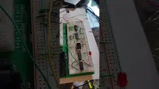 EE Final Project