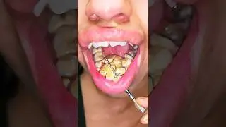 Bei diesem Video wirst du &bdquo;OMG&ldquo; schreien..